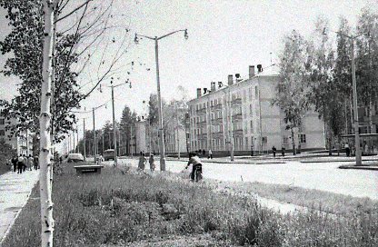 Три товарища: грустная история отцов-основателей Академгородка 