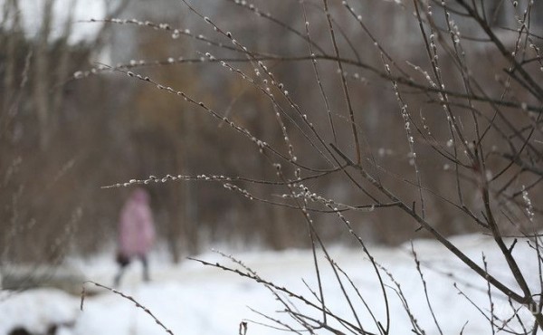 Дождь и мокрый снег обрушатся на Новосибирск в последние выходные марта