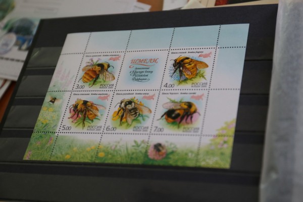 «Есть марки с запахом, с песком и на золоте» — интервью с филателистом «Есть марки с запахом, с песком и на золоте» — интервью с филателистом