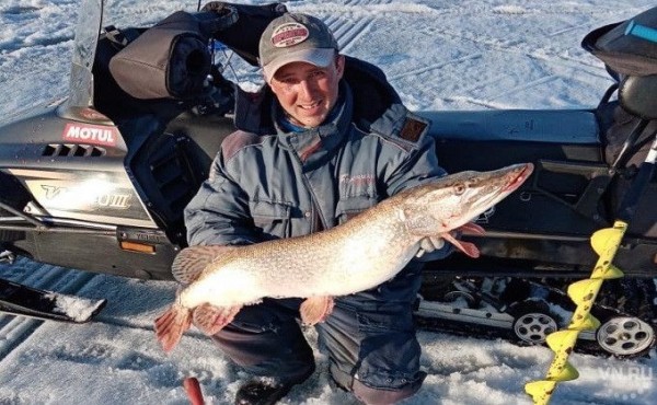 Вся пасть в крови: огромную щуку вытащил на лёд житель Новосибирска Вся пасть в крови: огромную щуку вытащил на лёд житель Новосибирска