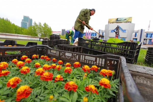 Понятный город: как зелёные инженеры возвращают природу в&nbsp;Новосибирск