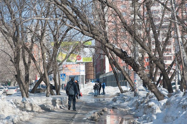 Тепло и перепады температур ожидают новосибирцев до конца недели