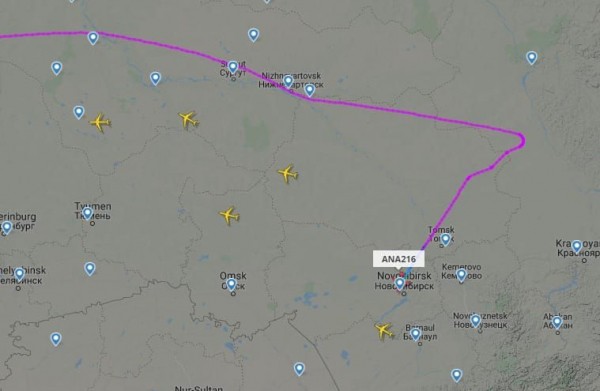 Летевший из Парижа в Токио Boeing экстренно сел в аэропорту Толмачево из-за инсульта пилота Летевший из Парижа в Токио Boeing экстренно сел в аэропорту Толмачево из-за инсульта пилота