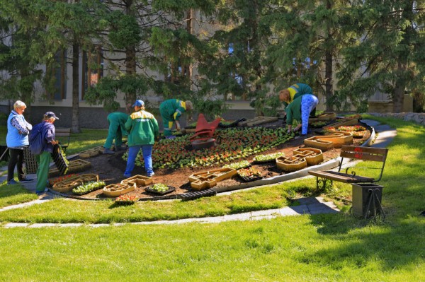 Понятный город: как зелёные инженеры возвращают природу в&nbsp;Новосибирск