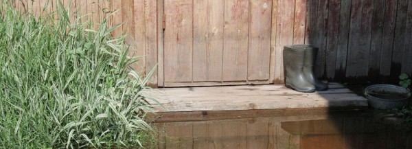 Дачи в Новосибирске может затопить из-за подъёма воды в реке Тула Дачи в Новосибирске может затопить из-за подъёма воды в реке Тула