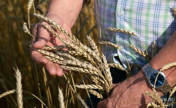 Селяне готовы приступить к посевной в Здвинском районе