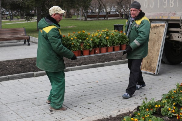 Понятный город: как зелёные инженеры возвращают природу в&nbsp;Новосибирск