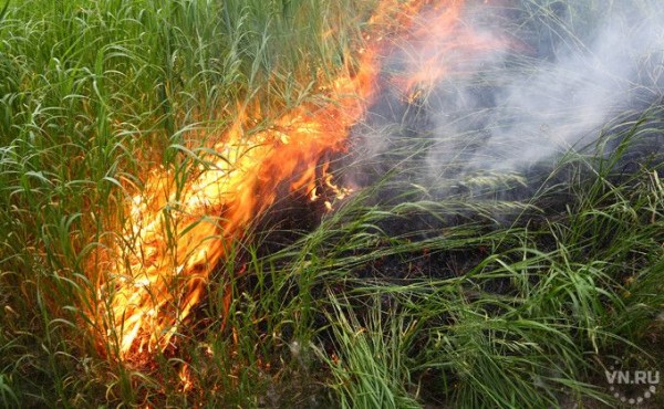 Тайну желтого огня раскрыл школьник из Новосибирска