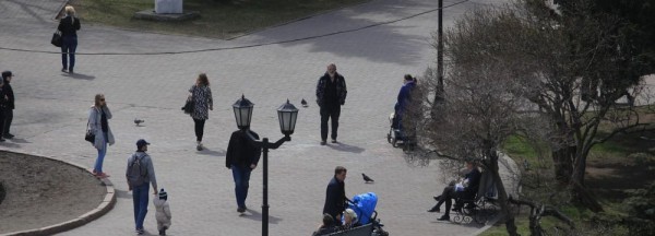 Сотню старых деревьев в&nbsp;Первомайском сквере вырубят ради газонов