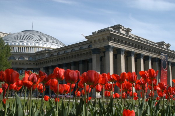 Понятный город: как зелёные инженеры возвращают природу в&nbsp;Новосибирск