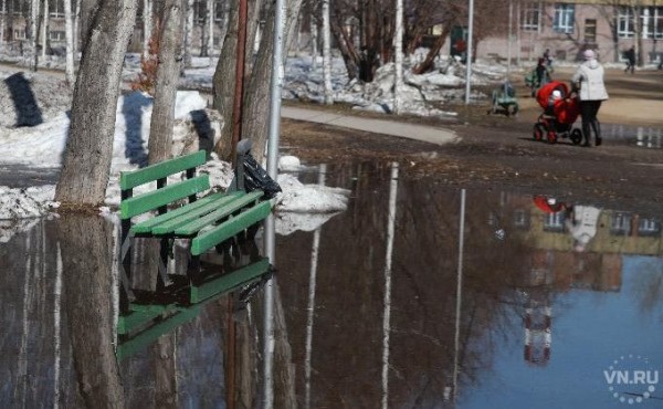 Прокуратура обвинила власти Новосибирска в некачественной уборке города