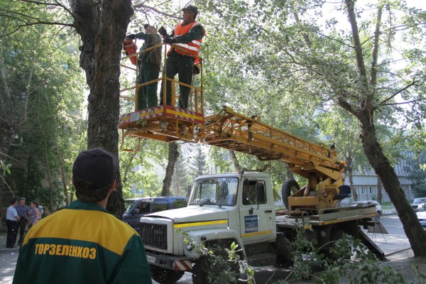 Вечерний разговор: старые тополя, каштаны и&nbsp;аромат цветов после ковида