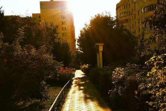 Новосибирску пообещали до 28 градусов тепла в ближайшие дни