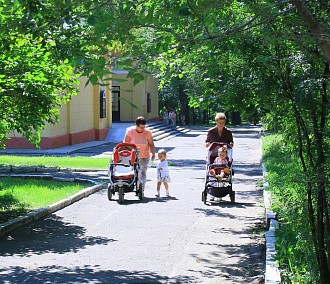 Вечерний разговор: старые тополя, каштаны и аромат цветов после ковида Вечерний разговор: старые тополя, каштаны и аромат цветов после ковида