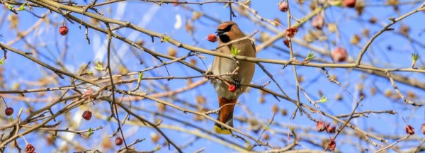 Время авитаминоза и&nbsp;хандры: как пережить весну в&nbsp;Новосибирске