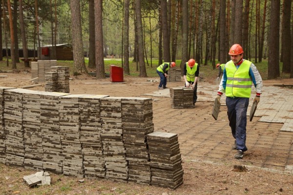 Большую бесплатную парковку сделают на&nbsp;въезде в&nbsp;Заельцовский парк