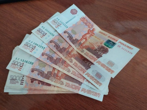 Новосибирская область не вошла в число регионов-лидеров по уровню зарплат в Сибири