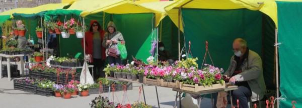 Ярмарка для садоводов открылась возле ДК «Чкаловец» Ярмарка для садоводов открылась возле ДК «Чкаловец»