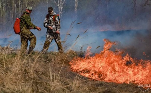 Борьбу с лесными пожарами оценил губернатор Андрей Травников