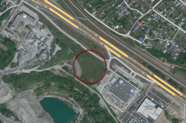 Превратить сваи в&nbsp;берёзовые пни предлагает новосибирская художница