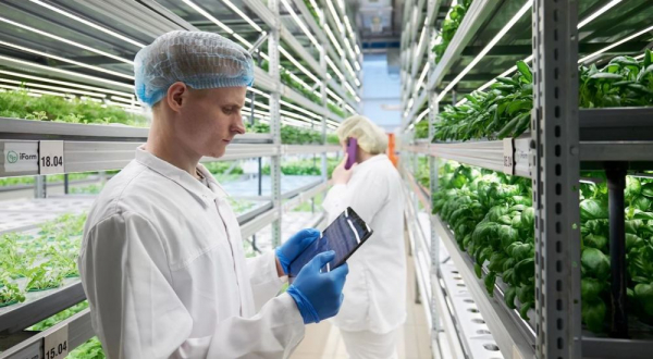 Новосибирская компания построит ферму в Норвегии ~ Континент Сибирь Online