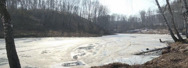 Безымянное озеро в&nbsp;Дзержинке взяли под защиту активисты ТОС