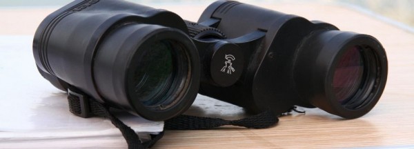 В&nbsp;Новосибирске ищут 22-летнюю девушку с&nbsp;брекетами