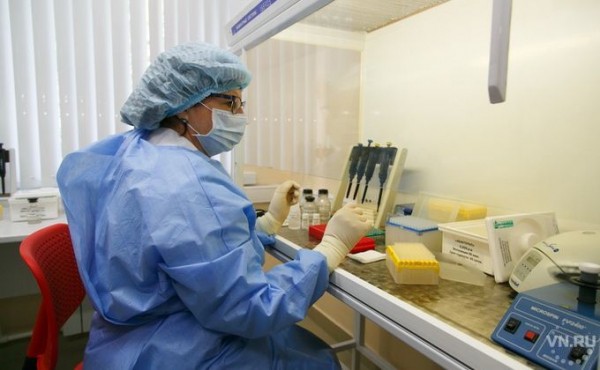 В Новосибирской области 41 выздоровел, четверо скончались от COVID-19