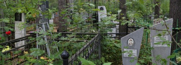 Берёза рухнула на женщину на кладбище Новосибирска в Радоницу Берёза рухнула на женщину на кладбище Новосибирска в Радоницу