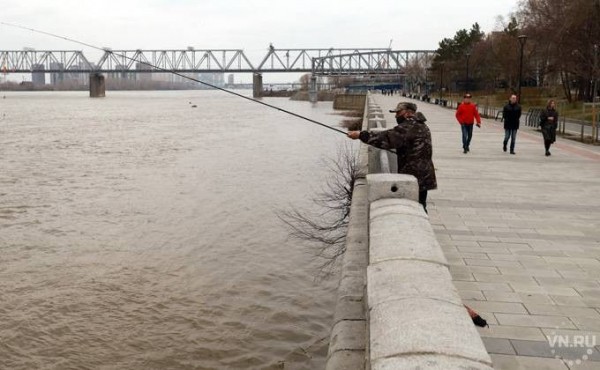 Резко похолодает до +7 в Новосибирске 20 мая