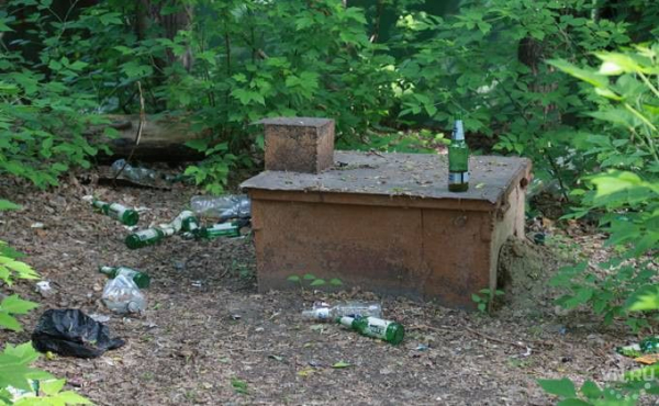 Жительница Первомайки упала в погреб и погибла Жительница Первомайки упала в погреб и погибла