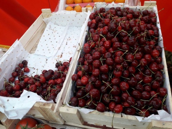 В Новосибирске начали торговать черешней В Новосибирске начали торговать черешней