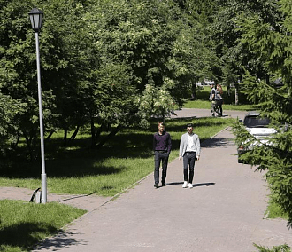 Вечерний разговор: старые тополя, каштаны и аромат цветов после ковида Вечерний разговор: старые тополя, каштаны и аромат цветов после ковида