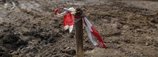 Лес незаконно вырубили ради новых гаражей у&nbsp;реки Камышенки