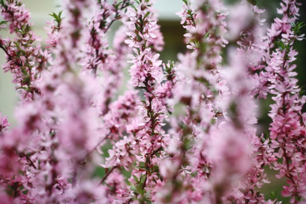 Афиша выходных: песни у&nbsp;костра, цветочный своп и&nbsp;ЗОЖ на&nbsp;набережной