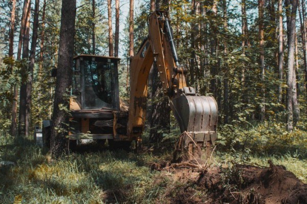 Мэрия Новосибирска замуровала труженицу тыла в собственном доме