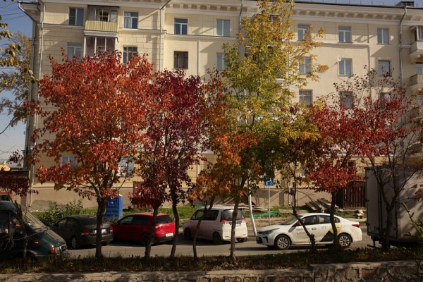 Двум скверам в&nbsp;Дзержинском районе Новосибирска дали названия