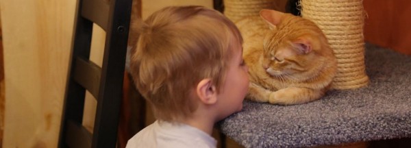 Зачем чипировать домашнего питомца и сколько это стоит в Новосибирске Зачем чипировать домашнего питомца и сколько это стоит в Новосибирске