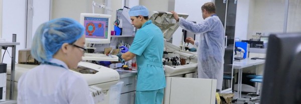 Новосибирские учёные разработали эффективный БАД с&nbsp;бифидобактериями