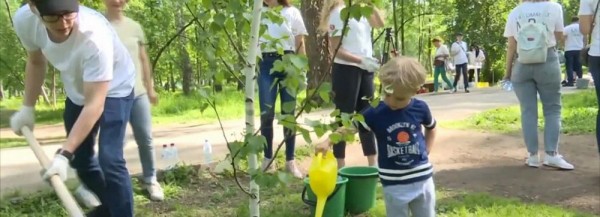 Сотню деревьев высадили новосибирцы с&nbsp;детьми в&nbsp;&laquo;Берёзовой роще&raquo;