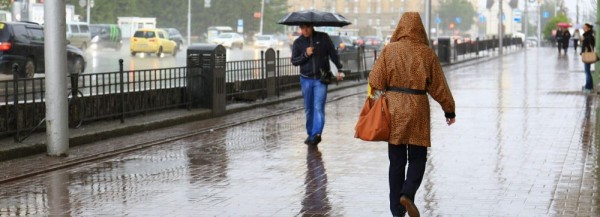 Прохладную неделю обещают синоптики