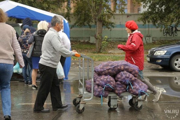 Картофель резко подорожал в Новосибирске Картофель резко подорожал в Новосибирске
