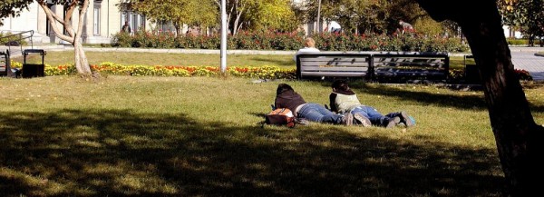 5&nbsp;гектаров газонов скосили в&nbsp;Новосибирске за&nbsp;сутки