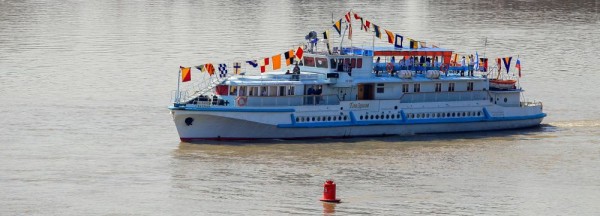 Если вы пропустили: экскурсии по Оби, волчата из норы и меню МЧМ- 2023 Если вы пропустили: экскурсии по Оби, волчата из норы и меню МЧМ- 2023