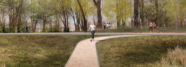 В&nbsp;парке у&nbsp;ЛДС в&nbsp;Новосибирске ландшафт адаптируют под каждое дерево