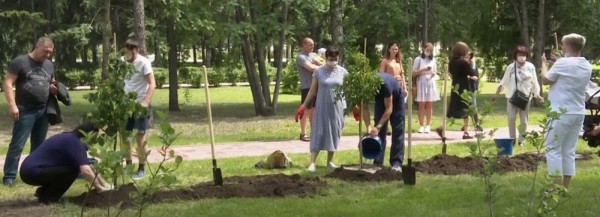 Аллею в память о донорах органов высадили у облбольницы в Новосибирске Аллею в память о донорах органов высадили у облбольницы в Новосибирске
