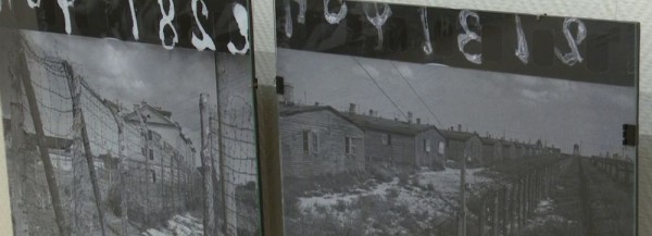 Правдивые снимки Великой Отечественной представили новосибирцам