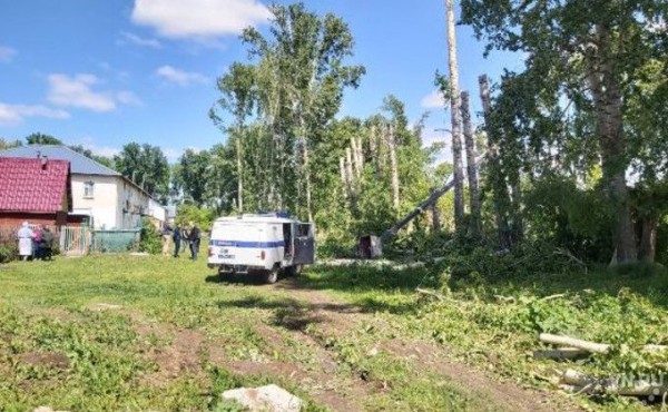 Люлька с рабочими рухнула во время рубки деревьев в Коченевском районе