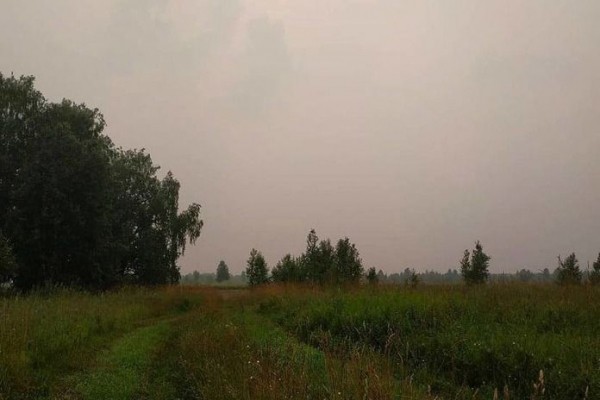 В Новосибирскую область возвращается 30-градусная жара