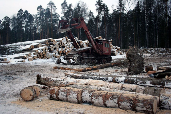 Депутаты красноярского Заксобрания отменяют местный &laquo;лесной&raquo; закон из-за противоречий с федеральным